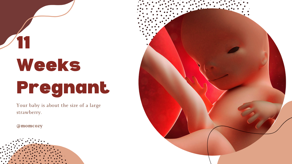 11 weeks pregnant