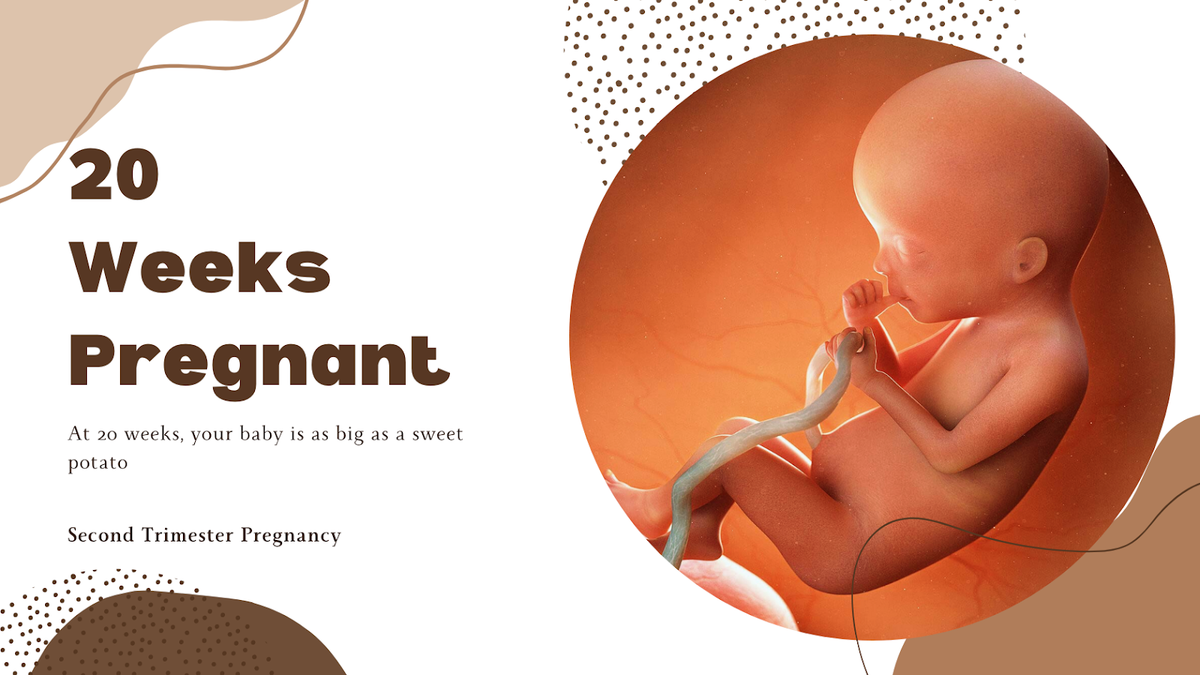 20 weeks pregnant