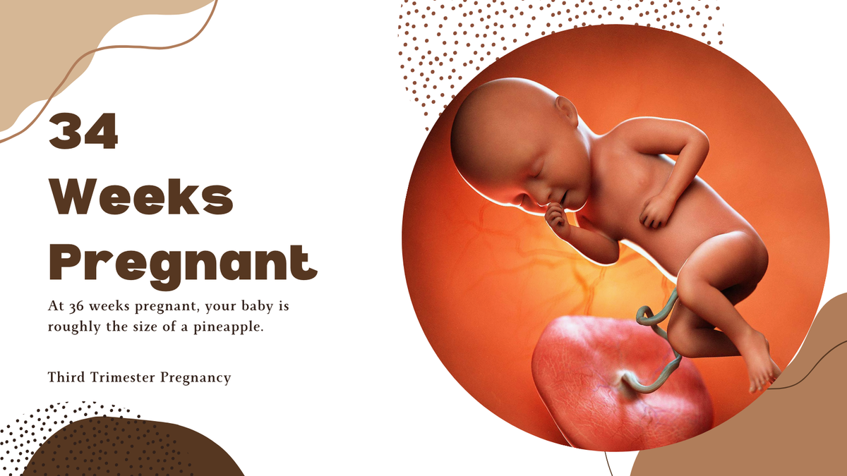 34 Weeks Pregnant: Weekly Development & Symptoms and 34 weeks fetus