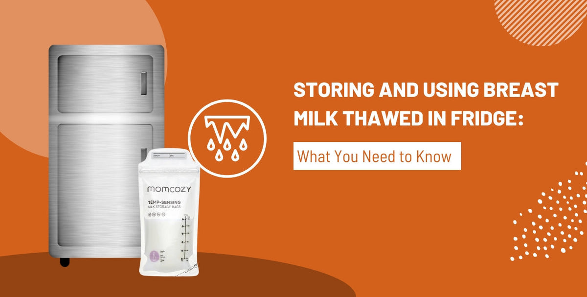 Storing and Using Breast Milk Thawed in Fridge