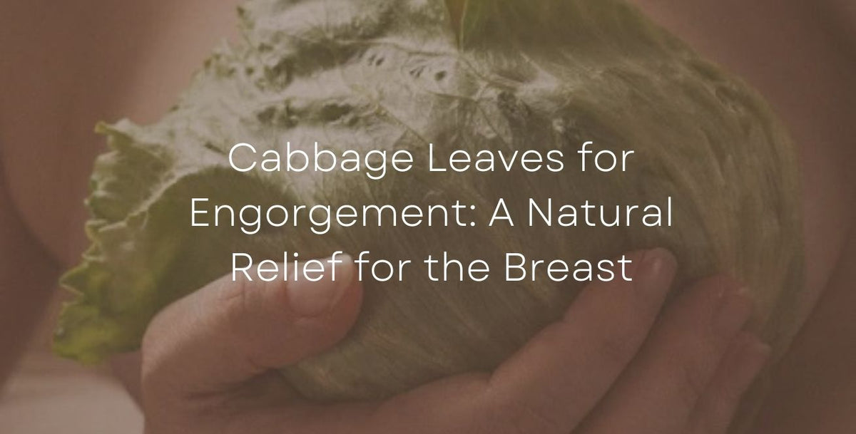 Cabbage Leaves for Engorgement: A Natural Relief for the Breast