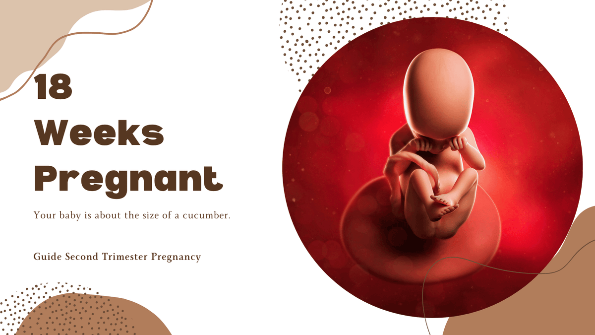18 Weeks Pregnant